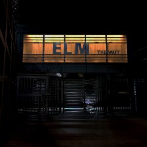 Album Review: Elm - The Wait