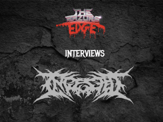 Interview: Ingested