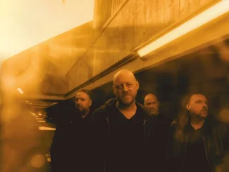 Album Review: Warning - Rituals of Shame