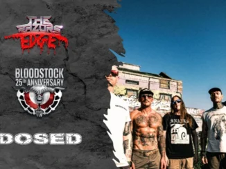 Bloodstock Bound: Dosed