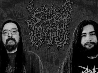 Album Review: Sallow Moth - Hydrophilous Brood