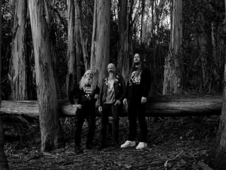 Album Review: Static Abyss - The Dying Hunt